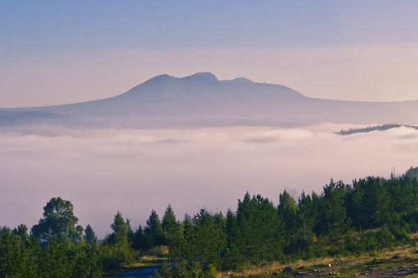 Тещин язык таганай фото